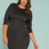 Asoph Plus Size Mesh Inset Bodycon Dress -FemiLook Sales Store 2005377 001 1