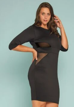 Asoph Plus Size Mesh Inset Bodycon Dress -FemiLook Sales Store 2005377 001 2
