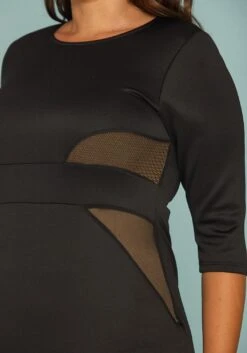 Asoph Plus Size Mesh Inset Bodycon Dress -FemiLook Sales Store 2005377 001 4
