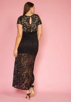 Plus Size Elegant Lace Dress -FemiLook Sales Store 2005447 001 3