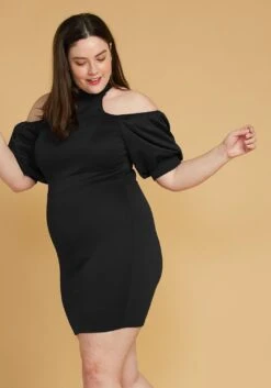 Plus Size Shoulder Cutout Puff Sleeve Dress -FemiLook Sales Store 2005461 001 2