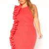 Asoph Plus Size Textured Side Ruffle Dress -FemiLook Sales Store 2006479 144 2
