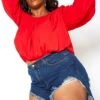 Vibrant Plus Size High Waisted Destroyed Denim Shorts -FemiLook Sales Store 2013648 939 4