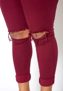 Vibrant Mid Rise Knee Distressed Plus Size Skinny Jean -FemiLook Sales Store 2013673 111 3