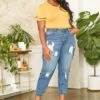 Asoph Plus Size Distressed Denim Cargo Mom Jeans -FemiLook Sales Store 2014689 003 0