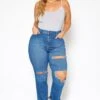 Vibrant Plus Size Distressed Vintage Denim Mom Jean