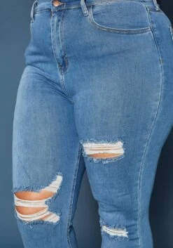Vibrant Plus Size Distressed Mid Rise Skinny Jean -FemiLook Sales Store 2019589 938 4