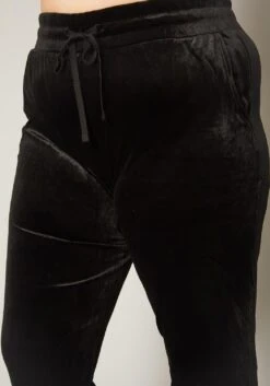 Plus Size Velour High Waist Pants -FemiLook Sales Store 2019633 001 4