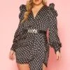 Plus Size Polka Dot Long Sleeve Mini Dress -FemiLook Sales Store 2020120 001 0