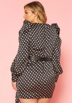 Plus Size Polka Dot Long Sleeve Mini Dress -FemiLook Sales Store 2020120 001 3