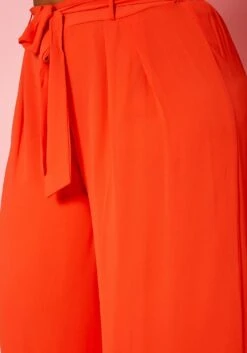 Plus Size High Waist Palazzo Pants -FemiLook Sales Store 2020185 003 4