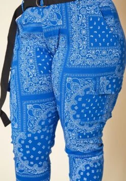 Plus Size Paisley Print Belted Cargo Pants -FemiLook Sales Store 2020247 001 4