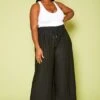 Plus Size Pleated Palazzo Pants -FemiLook Sales Store 2020362 001 1