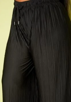 Plus Size Pleated Palazzo Pants -FemiLook Sales Store 2020362 001 5