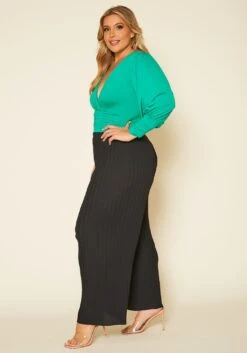 Pleione Plus Size High Waist Pleated Wide Pants -FemiLook Sales Store 2020449 001 3