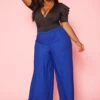 Plus Size Wide Leg Pants -FemiLook Sales Store 2020557 001 2