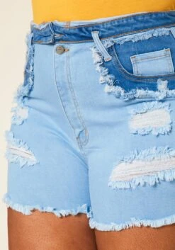 Plus Size High Rise Distressed Denim Shorts -FemiLook Sales Store 2020676 001 4