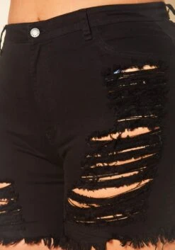 Plus Size Distressed Denim High Waist Shorts -FemiLook Sales Store 2020739 001 4