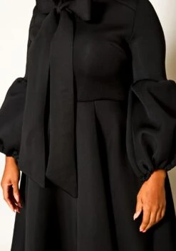 Plus Size Out Of The Ordinary Fit & Flare Dress -FemiLook Sales Store 2021156 004 6