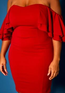 Plus Size Off Shoulder Ruffle Sleeve Mini Dress -FemiLook Sales Store 2021271 001 5