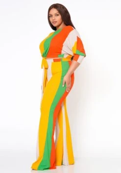 Plus Size Multi Striped Crop Top & Pants Set -FemiLook Sales Store 2022462 002 2