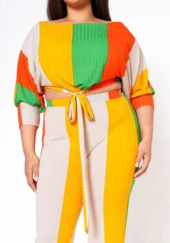 Plus Size Multi Striped Crop Top & Pants Set -FemiLook Sales Store 2022462 002 4