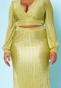 Plus Size Metallic Pleated Two Piece Set -FemiLook Sales Store 2022510 001 5