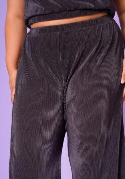 Plus Size Pleated Trousers -FemiLook Sales Store 2022640 001 5