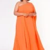 Plus Size One Shoulder Maxi Flare Dress -FemiLook Sales Store 2022644 002 1